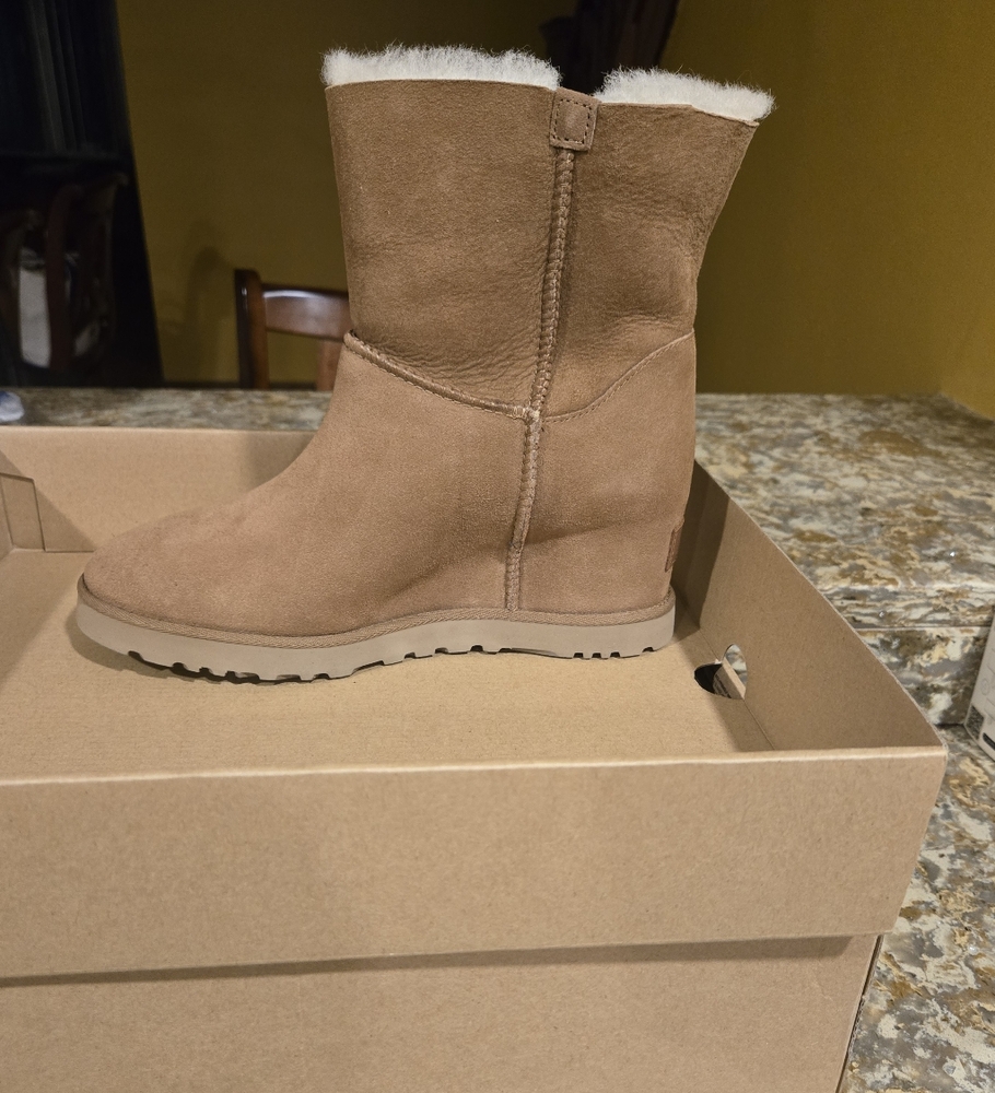 UGG Women's Brown Suede Winter Boots